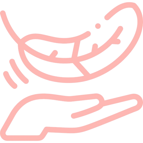 Alt image